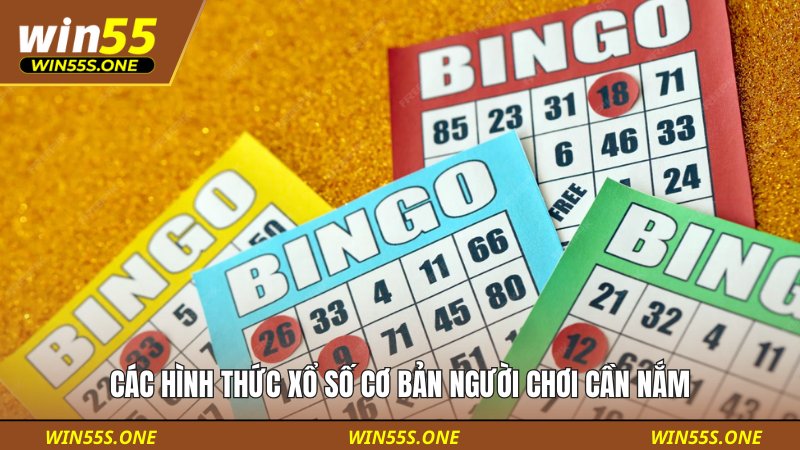 Các hình thức xổ số cơ bản người chơi cần nắm