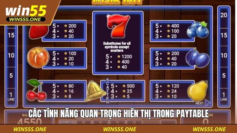 Các tính năng quan trọng hiển thị trong Paytable