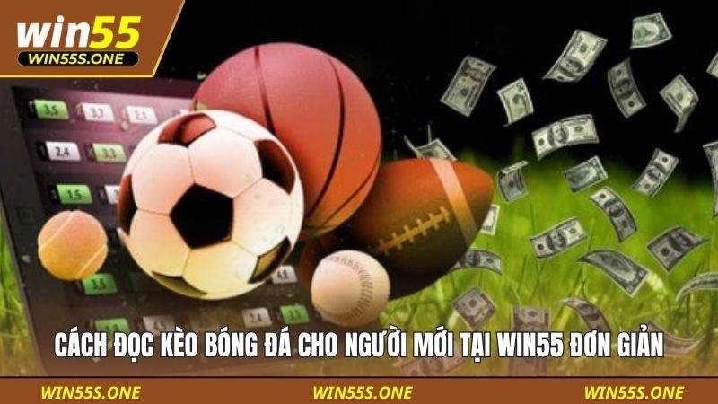 cách đọc kèo bóng đá cho người mới