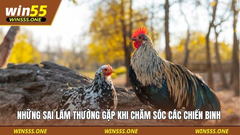 Những sai lầm thường gặp khi chăm sóc các chiến binh 