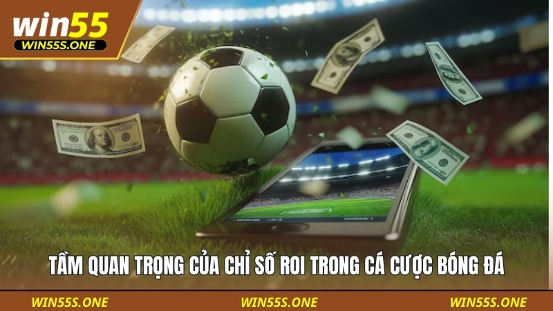Tầm quan trọng của chỉ số ROI trong cá cược bóng đá