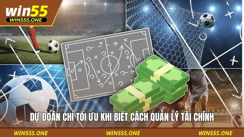 Dự đoán chỉ tối ưu khi biết cách quản lý tài chính