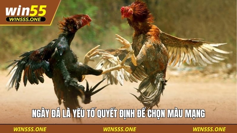 Ngày đá là yếu tố quyết định để chọn màu mạng