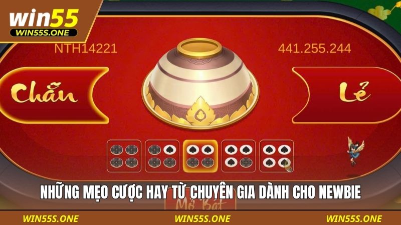 Những mẹo cược hay từ chuyên gia dành cho newbie