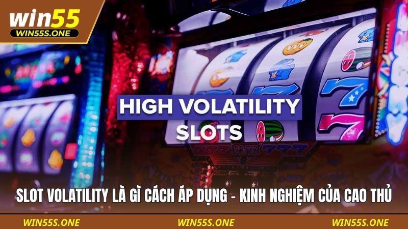 Slot volatility là gì cách áp dụng