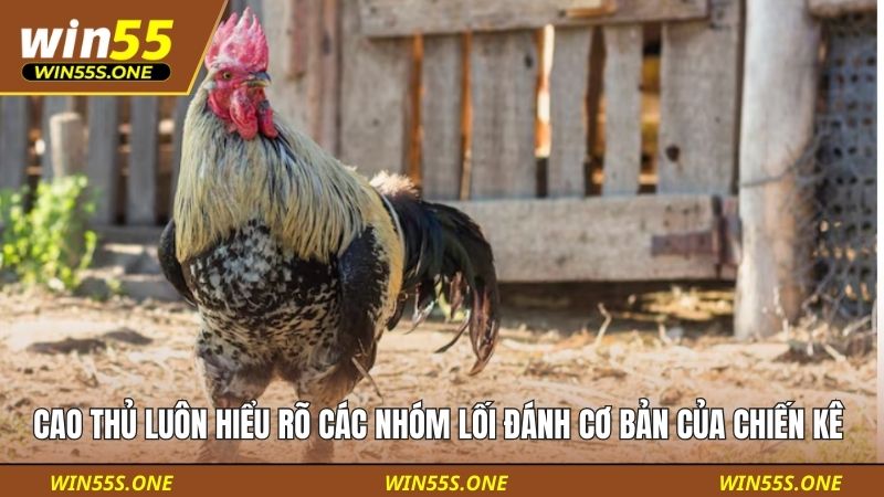 Cao thủ luôn hiểu rõ các nhóm lối đánh cơ bản của chiến kê 