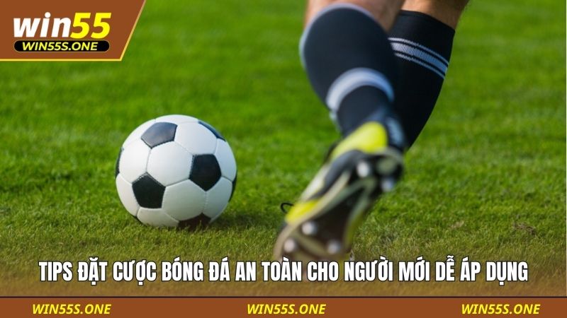 Tips đặt cược bóng đá an toàn cho người mới
